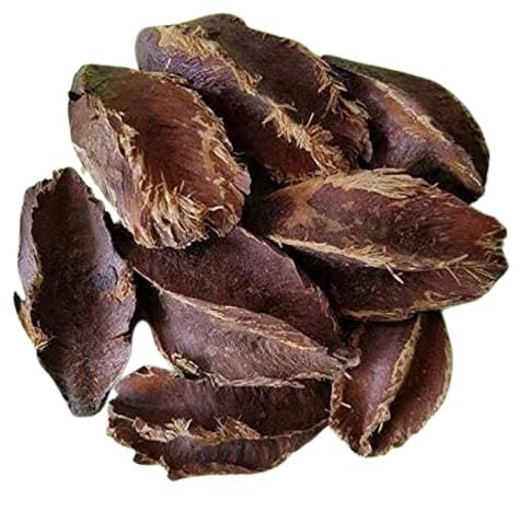 Shree Jee Organic Arjun, Terminalia Arjuna, Maiyokpha,Maruthu,Nirmatti,Torematti Tree Seed Pack of 15 Seeds (B0D66QMDD2) Amazon Price History, Amazon Price Tracker