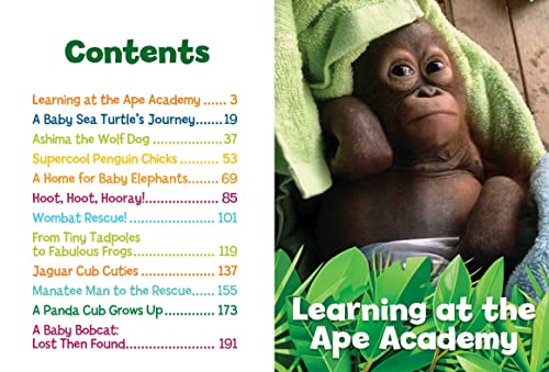 National Geographic Kids 5-Minute Baby Animal Stories 2 51DQrS4PE L