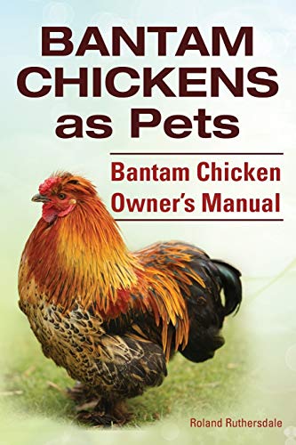 bantam chickens - Bantam Chickens. Bantam Chickens as Pets. Bantam Chicken Owner's Manual