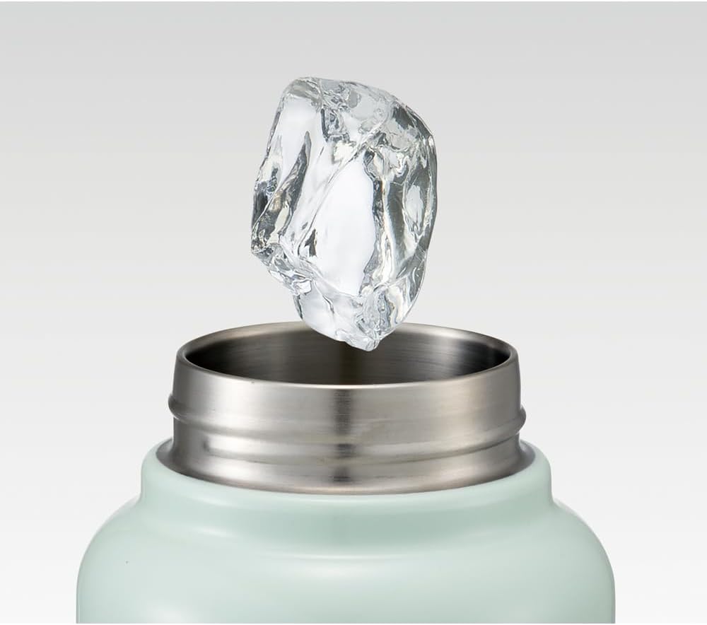 Skater STD10H-A Stainless Steel Direct Bottle with Handle, 33.8 fl oz (1,000 ml), Miffy