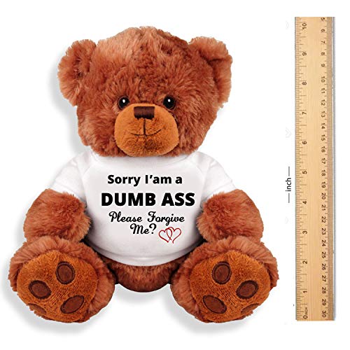 Sorry-and-Forgive-Me-Gift-Funny-Teddy-Bear-Couple-Gift-Medium-Teddy-Bear-Stuffed-Animal - DumpADate.com