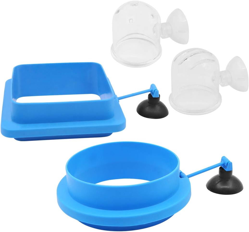 Juego de alimentador de peces de acuario, 2 anillos de alimentación de peces y 2 vasos de alimentación de gusano de sangre flotantes de acrílico para accesorios de pecera