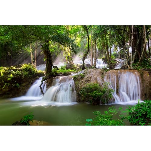 Image of Waterfall Aquarium Background Jungle Plants Rocks Terrarium Background Falls Green Plants Natural Landscape Fish Tank Background Old Tree Waterfall Rock Style Reptile Background Vinyl 24x16in