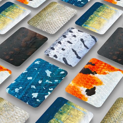 [公式]第3弾 さかなかるたプラス 伝説の魚版 6枚組 ガモットラボ かるた カードゲーム お風呂 うろこ 千葉印刷 誕生日 プレゼント 子供 おもちゃ 知育 知育玩具 キャンプ