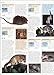 Animal: The Definitive Visual Guide to the World's Wildlife