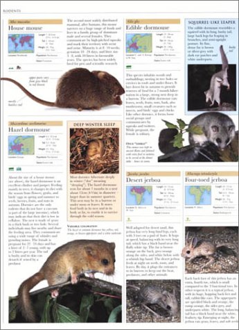 Animal: The Definitive Visual Guide to the World's Wildlife - Image 6
