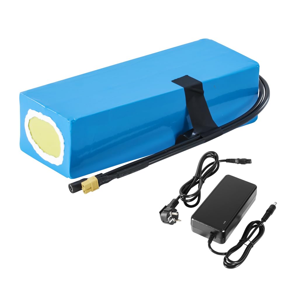 SEASON E-Bike Batterie Pack 48V 13Ah Lithium-ION Batterie 13S5P avec 20A BMS et 2A Chargeur pour vélo électrique, Scooter