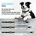 LED AirTag Dog Collar - Brightest Light Up Dog Collars - IP68 Waterproof Air Tag Dog Collar Holder - 1,600 Feet of High Visibility - Magnetic Charging - Dog Lights for Night Walking, Black L
