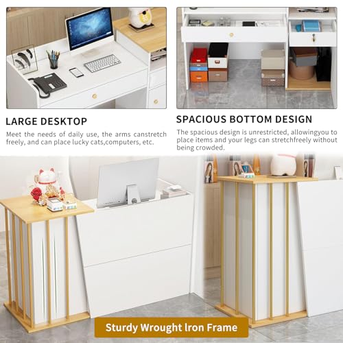 Meuble de Réception 120 cm avec Comptoir Caisse Intégré pour Maison et Bureau