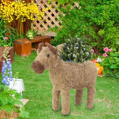 Pots de fleurs pour d'intérieur avec support de cactus stable en rotin durable - 3