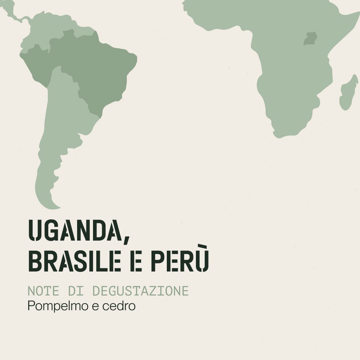 Incapto Caffè in Grani Strong Blend 1kg | Miscela 80% Arabica e 20% Robusta | Forte e Amaro | Orígines Uganda, Brasile e Perù | Tostatura Naturale