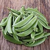 Organic Cascadia Peas - 15 g Packet ~45 Seeds - Organic, Non-GMO, Heirloom, Open Pollinated - Farm & Garden Vegetable Gardening Seeds - Snap Peas
