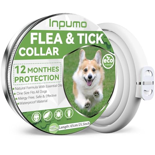 Collare Antiparassitario Per Cani, Naturali antipulci per cane da 65 cm, Oli Essenziali Naturali Al 100%, Efficacia 12 Mesi con Ingredienti Antipulci per Cani e Antiparassitari per Cane (1 Pack)