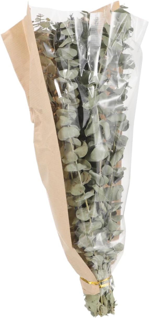 BESTOYARD Dried Eucalyptus Bath Bouquet Lavender Bundle, Natural Stems and Dried Lavender Flowers, Fragrant Bathroom Hanging Décor for Home Spa and Relaxation