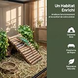 Abaodam cachette en rondins de bois pliable, 11 x 22 cm photo 4