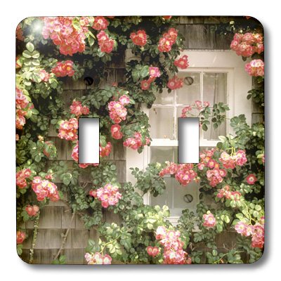 Decoración de la isla Nantucket en este interruptor doble para salones rústicos 4