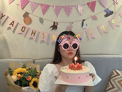 2 Packs Happy Birthday Sunglasses,Birthday Photo Props Funny Novelty Glasses, Birthday Party for Kids and Adults3