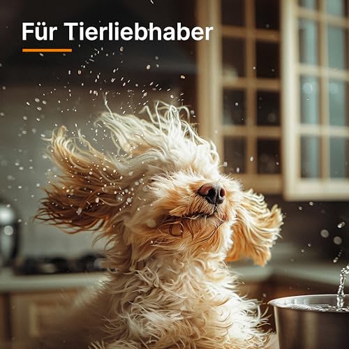 THOMAS Aqua+ PET & Family – 1700 W starker Staubsauger für Tierhaare – Nasssauger & Trockensauger - Polsterreiniger & Staubsauger mit Wischfunktion für Teppich, Sofa, Polster & Matratze