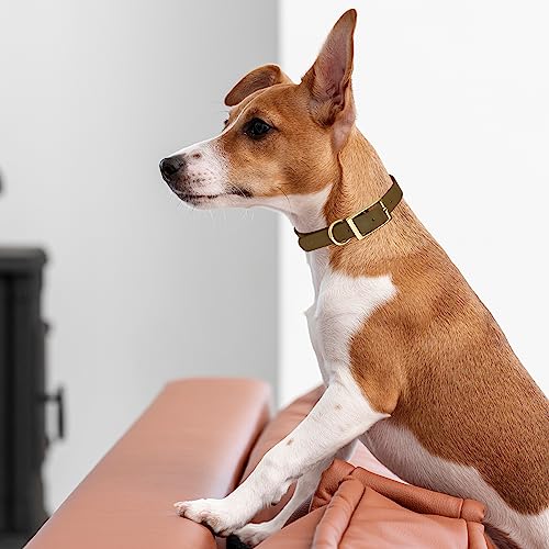 Image of Viper Biothane Heavy Duty Waterproof Dog Collar Strong Coated Nylon Webbing w /Solid Brass Hardware Odor-Proof Easy to Clean High Performance Fits Small Medium or Large Dogs, Coyote Brown
