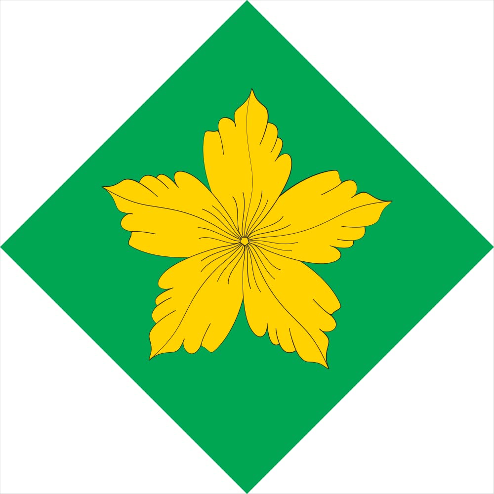 Drapeau Rokytne pour décorer vos événements culturels et commémorations