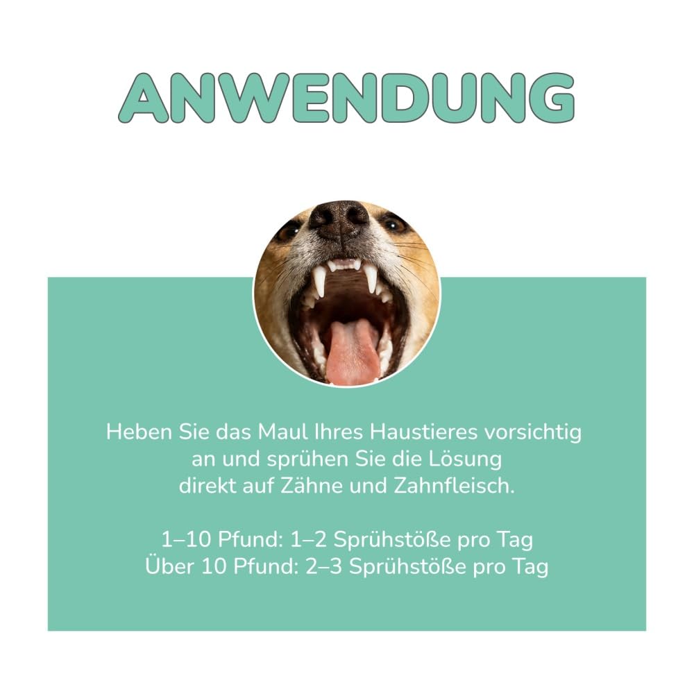 Vitarro Mundspray speziell für Katzen und Hunde, sorgt für natürlichen, frischen Atem, entfernt Zahnbelag, zur täglichen Mundpflege