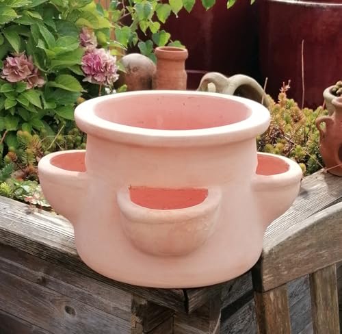 Generisch NEU !! Erdbeertopf/Kräutertopf aus rötlichen Terracotta ø ca. 35 cm, Blumentopf Blumenkübel Garten Terracotta Deko Kräuterspirale