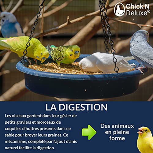 Chick'N Deluxe® IDEAL SAND 5Kg. Vogelsand für Vogelkäfigböden.Angerichtet mit zerkleinerten Austernschalen und aromatisiert mit Anis.100% natürliches Produkt für die Hygiene und Gesundheit Ihrer Tiere