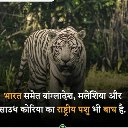 Jhakash facts ( amazing fact in hindi )