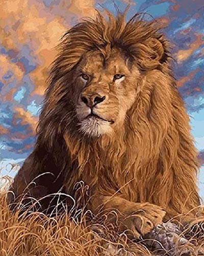 Peinture par numéros lion débutant apprendre à peindre facilement sur toile encadrée
