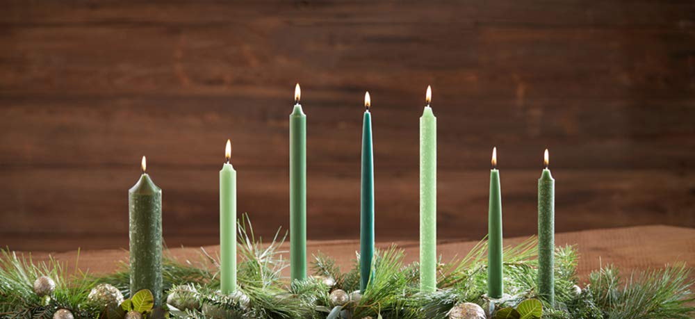 Root Candles Timberline Collenette świeca wierzby 23 cm (4 sztuki) wosk, 29,2 x 15,7 x 3,7 cm