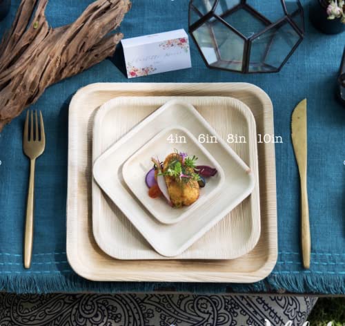 Disposable Palm Leaf Plates 6 Inch / 25 Pack. All Natural Compostable, Biodegradable And Eco Friendly Dessert Party Plates - Comparable To Bamboo Or Wood - Great For Outdoor Parties, Weddings And Bbqs #TOP2
