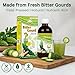 Basic Ayurveda Bitter Gourd (Karela) Juice (Pack of 2) | 16.23 Fl Oz (480ml) | Natural Bitter Melon Juice | Plant Based Ayurvedic Herbal Drink | for Liver Health, Digestion & Immunity