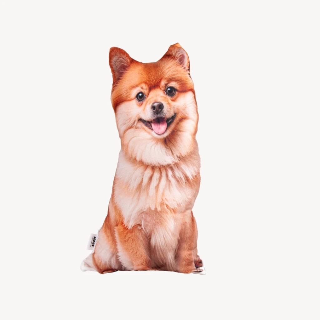 3 Boyutlu Köpek Yastığı No 12 40x25 Cm
