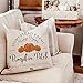 AENEY Fall Decor Pillow Cover 18x18 inch Pumpkin Patch Throw Pillow for Fall Farmhouse Fall Decorations Decorative Pillow Cover A246