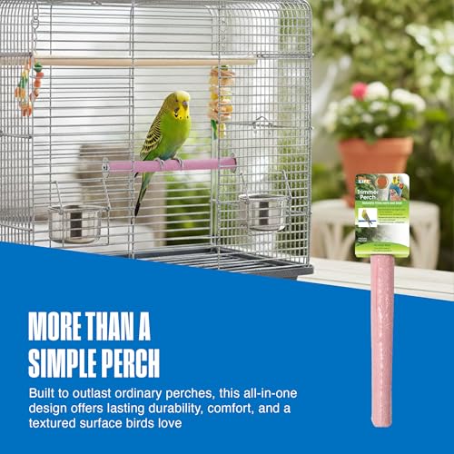 Ciment perchoir Penn-Plax 25,4 cm évite la coupe des griffes oiseaux - 7