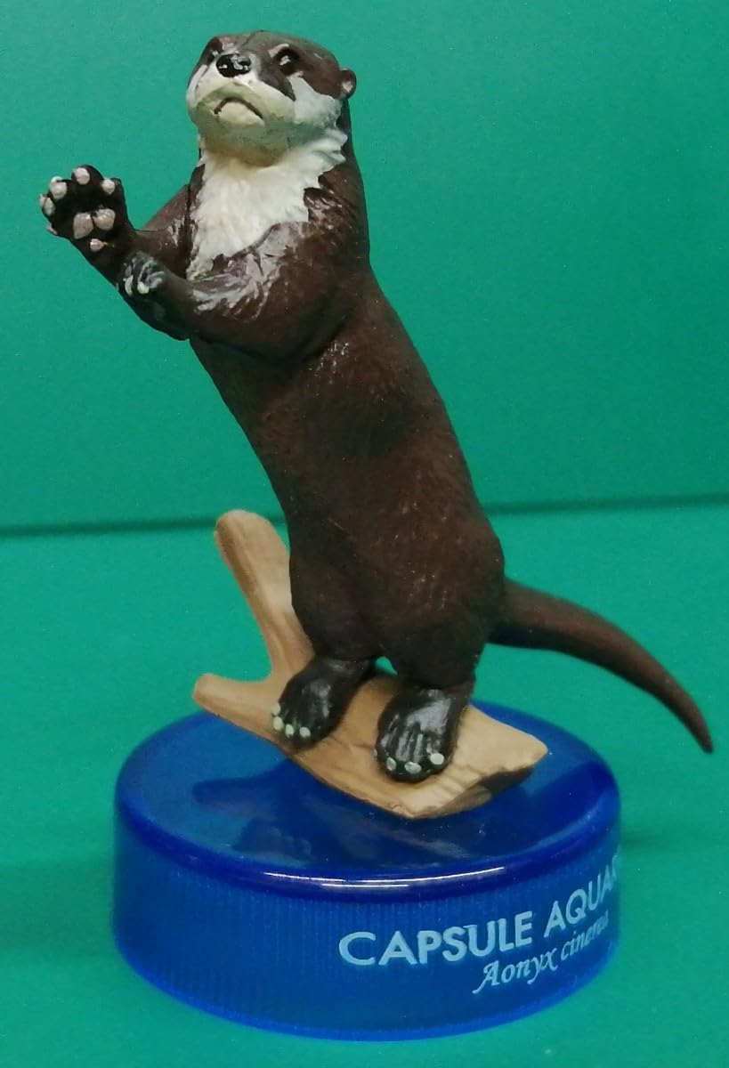 コツメカワウソの置物 Amazon.co.jp: コツメカワウソ 日本水族館立体生物図録 海洋堂