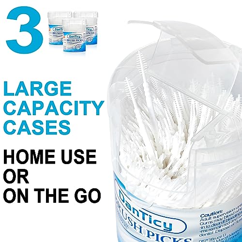 Image of DanTicy Brushpicks Interdental Toothpicks,Soft Bristle Dental Floss Picks Toothpicks,Helps Removes Plaque and Debris Between Your Teeth 900PCS (Pack of 3)