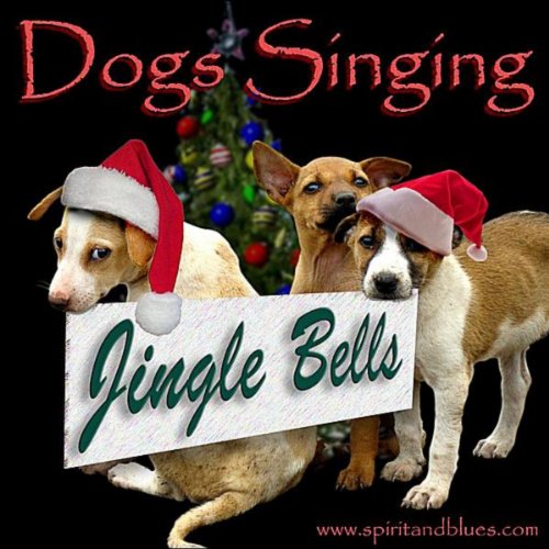 Play Jingle Bells (Singing Dogs) by dogs singing on Amazon Music