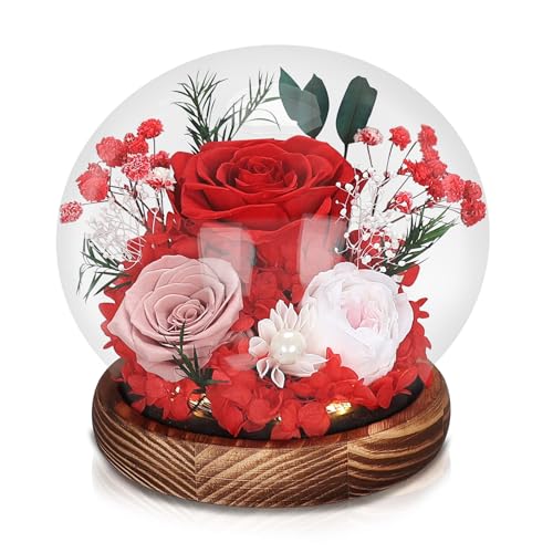 Liuzouwin Preserved Real Rose Glass Dome with LED Light, Preserved Flowers Gift for Women for Home Office Decoration (Red)