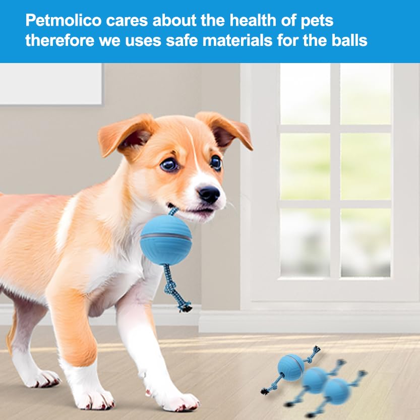 Balle électrique pour chien Petmolico bleue avec télécommande - 5