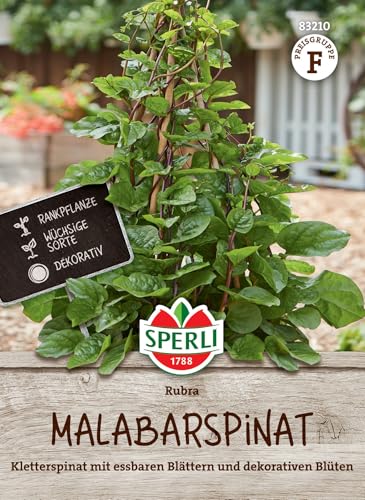 Sperli Graines d'épinards malabar Rubra - Épinards grimpants à haut rendement, fleurs décoratives, graines d'épinards pour jardin et balcon, culture de légumes, graines pour légumes riches en