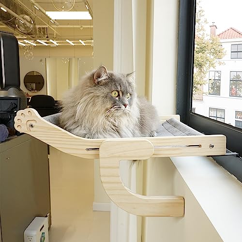 Cat Hammock Window The 15 best products compared Wild Explained