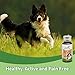 Dog Hip and Joint Support Supplement - All Natural Pain Relief and Effective Anti-Inflammatory Relieves Chronic Arthritis Pain and Improves Mobility with no Side-Effects (450 Pills)