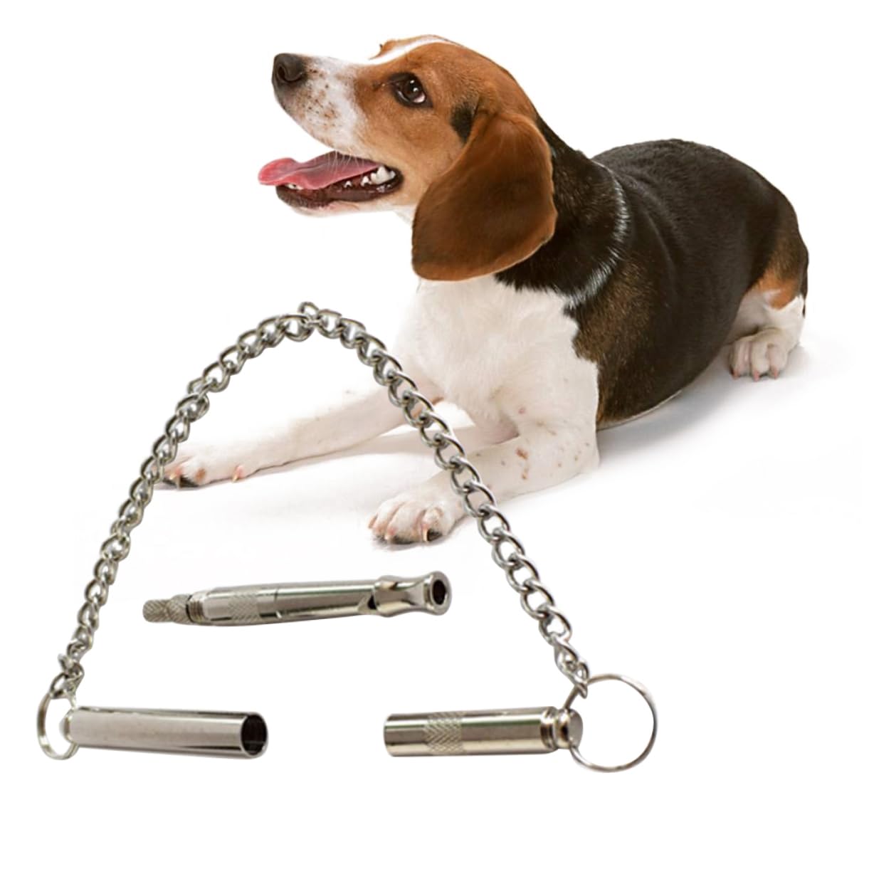 Hundepfeife Aus Edelstahl - Unhörbar Für Menschen, Perfekt Für Training