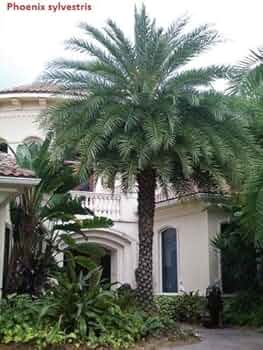 51DRfhQHReL._AC_UF350, 51DRfhQHReL._AC_UF350,