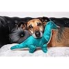 Fluff-and-Tuff-Ross-Brachiosaurus-Plush-Dog-Toy Ross Brachiosaurus Dog Toy