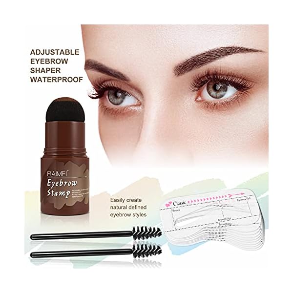 Eyebrow Stamp Kit, Eyebrow Shaping Stamp Makeup Kit, One Step Eye Brow Stamp, Long Lasting Eyebrow Makeup Tool with 10 Reusable Eyebrow Stencils, 2 Eyebrow Brushes, 3 Colors (Dark Brown)