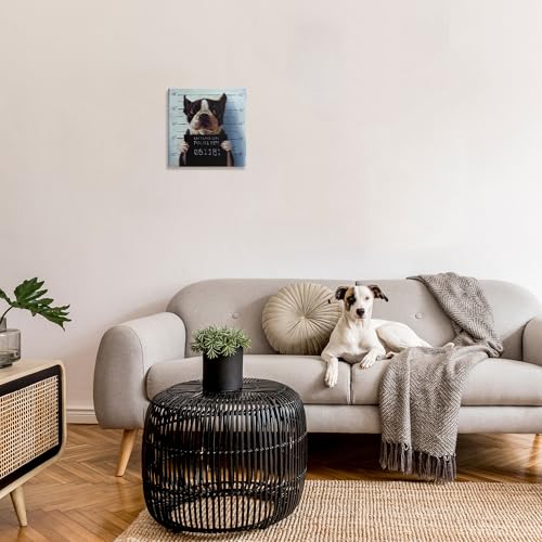 Image of Stupell Industries 'Boston Terrier Jail Convicted Mugshot'| Canvas Art | Stupell Industries | 17 x 17 Inches, Easy to Hang and Sturdy, Made in USA, by Lucia Heffernan