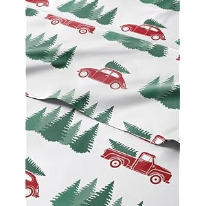 Christmas Sheet Set, Winter Bears, Holiday Xmas Bedding Set - Queen Size | 4 Piece, Deep Pockets, Snug Fit, Wrinkle Free, Cozy Cooling Festive Winter, Holiday Sheets for Women, Men, Kids & T