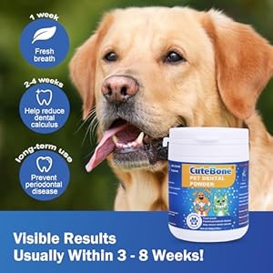 Cutebone Dog Teeth Cleaning Powder  Dog Dental Powder Pet Breath Freshener  Safe  Effective Natural Oral Care Formula Reduces Plaque  Tartar Promotes Healthy Gums Easytouse for Dogs  Cats  Cucciolini Doodles Cutebone dog teeth cleaning powder  dog dental powder pet breath freshener  safe  effective natural oral care formula reduces plaque  tartar promotes healthy gums easy to use for dogs  cats   cucciolini doodles